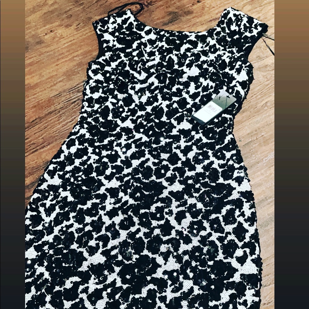 Express dress size 6